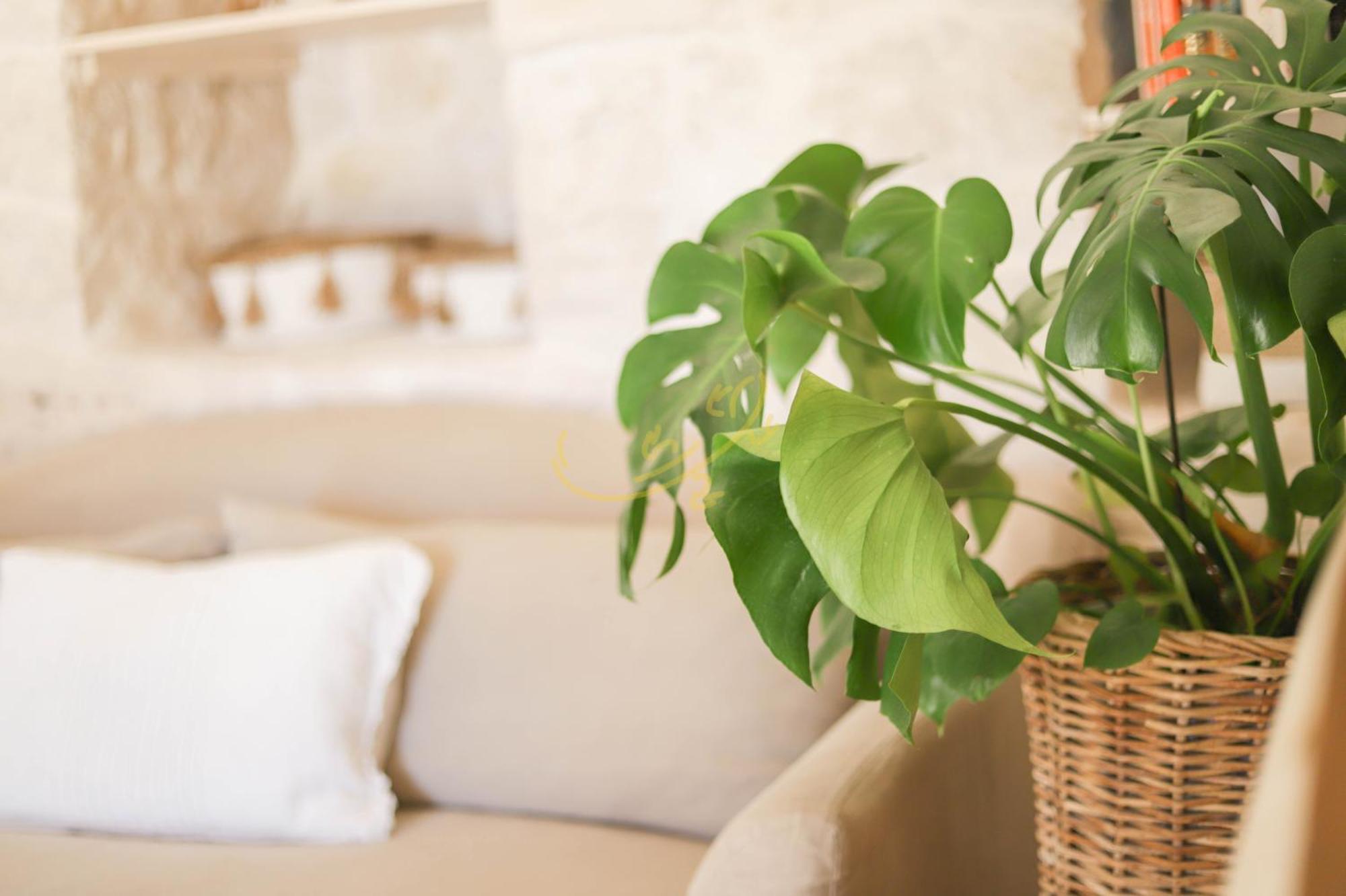 Trulli & Dimore - I Trulli Di Carole Ostuni Ngoại thất bức ảnh